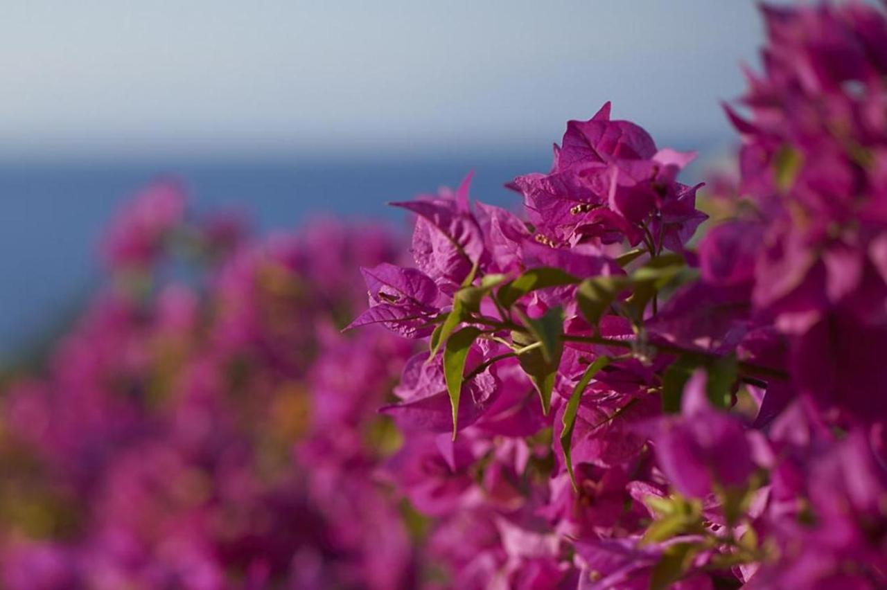 Hotel Mandarin Oriental, Bodrum Golturkbuku Zewnętrze zdjęcie